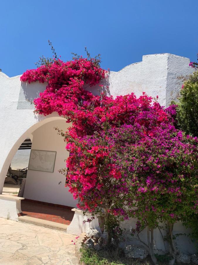 Villa Cecilia Polignano a Mare Exterior photo